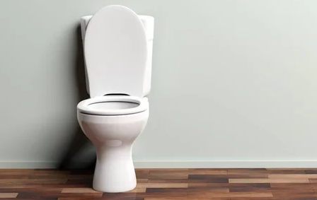 Toilet Duduk dan Risiko Ambeien: Fakta atau Mitos?